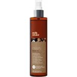 Milk Shake Integrity Incredible Leave in 250 ml – Hledejceny.cz