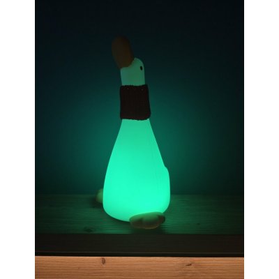 Linlight RGB A013 – Zboží Dáma