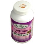 Dr. Popov Psyllium ProBio 120 kapslí – Zbozi.Blesk.cz