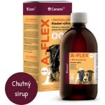 Canami A-Flex +bromelain 500 ml – Zboží Dáma