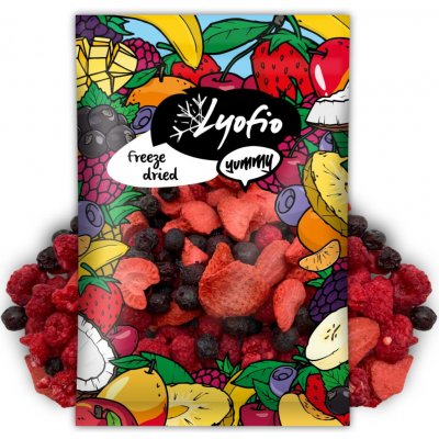 Lyofio Lesní směs 90 g – Hledejceny.cz