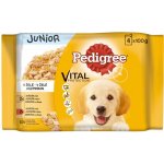 Pedigree Junior s kuřecím v želé 4pack 400 g – Hledejceny.cz