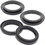ALL BALLS sada olejových a prachových těsnění HONDA, KAWASAKI, SUZUKI, TRIUMPH (41X53X8/10,5) | Zboží Auto