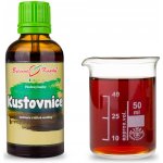 Bylinné kapky Kustovnice goji TCM tinktura 50 ml – Hledejceny.cz