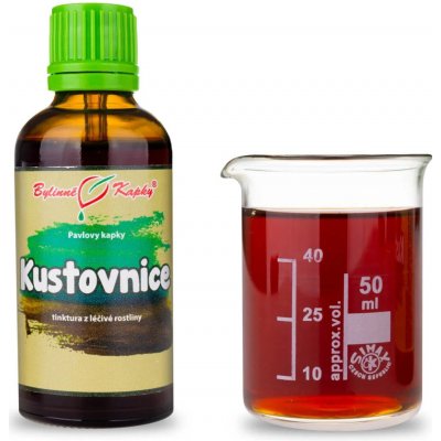 Bylinné kapky Kustovnice goji TCM tinktura 50 ml – Hledejceny.cz