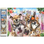 Norimpex Diamantové malování Bláznivá selfie 30 x 40 cm – Sleviste.cz