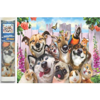 Norimpex Diamantové malování Bláznivá selfie 30 x 40 cm – Sleviste.cz