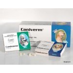 Caniverm forte tbl 100 x 0,7 g – Sleviste.cz