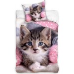 TipTrade bavlna povlečení Koťátko 140x200 70x90 – Zboží Mobilmania