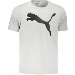 Puma pánské ACTIVE BIG LOGO TEE 586724-09 gray