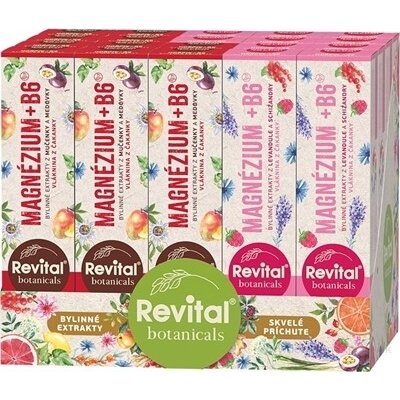 Revital Magnesium + B6 šumivý Mix Box 2 příchutě 20 x 20 tablet – Hledejceny.cz