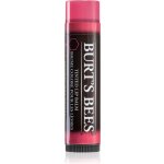 Burt´s Bees Tinted Lip Balm balzám na rty Hibiscus 4,25 g – Zboží Dáma