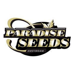 Paradise seeds Auto Wappa semena neobsahují THC 1 ks
