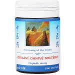 TCM Herbs Zdolání ohnivé soutěsky 100 tablet – Hledejceny.cz
