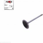 Sací ventil AUTOMEGA 130097010 – Zboží Mobilmania