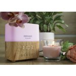 Concept DF2010 Aroma difuzér Perfect Air Light wood 300 ml – Zboží Dáma