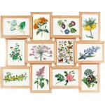 SCENA LIVING Multirám na 12 fotek FINES, fotorámeček koláž 45 x 59 cm béžová – Zboží Živě