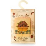 Boles d´olor Vonný sáček velký papírový 12 x 17 x 0,3 cm Frutos Rojos – Hledejceny.cz