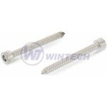 Šroub do pl.válc.hl. imbus 4,8x25 A2 Balení: 200 ks SAOA48025AO1 – Zboží Mobilmania