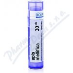 APIS MELLIFICA POR 30CH GRA 1X4G – Sleviste.cz