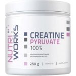 NutriWorks Creatine Pyruvate 250 g – Hledejceny.cz