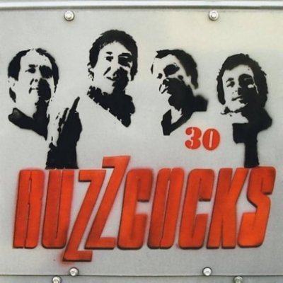 Buzzcocks - 30 CD – Hledejceny.cz