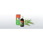 Euky Bear eukalyptový olej 50 ml – Zboží Dáma