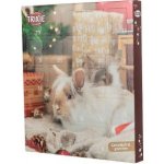 Trixie Adventní kalendář pro hlodavce 380g TR – Zboží Dáma
