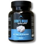 Lion´s mane Hrotlife 90 kapslí – Hledejceny.cz