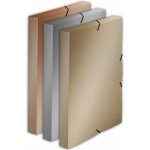 KARTON PP Krabice PP s gumou A4 Metallic zlatá – Hledejceny.cz