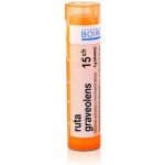 RUTA GRAVEOLENS POR 15CH GRA 4G – Hledejceny.cz