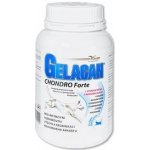 Gelacan Chondro Forte 0,15 kg – Hledejceny.cz