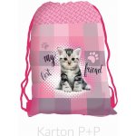 Karton P+P Kočka – Hledejceny.cz
