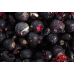 Lyofio Mrazem sušený černý rybíz 100 g – Zbozi.Blesk.cz