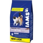 Iams ProActive Health Adult Multi Cat kuře & losos 15 kg – Sleviste.cz