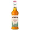 Šťáva Monin Agave 0,7 l