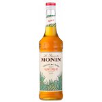 Monin Agáve 0,7 l – Zboží Dáma
