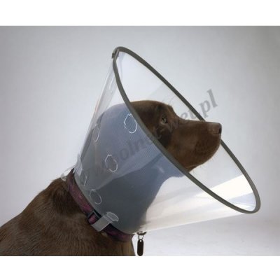 Kruuse Límec pro psy Clic Collar Comfort s gumou 30 cm – Zbozi.Blesk.cz