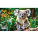Mláďata Wild life stolní 23 x 14 cm 2026 – Hledejceny.cz