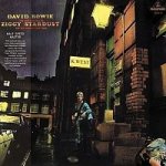 Bowie David - Rise And Fall Of Ziggy Stardust LP – Hledejceny.cz