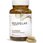 regeNAD od MOLEQLAR 60 kapslí – Hledejceny.cz