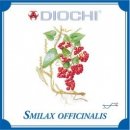 Diochi Smilax officinalis smilax lékařský čaj 150 g