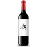 Bodegas El Cidacos MdeT Crianza suché červené 2021 14% 0,75 l (holá láhev) – Hledejceny.cz