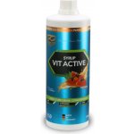 Z Konzept Vit Active Syrup Low Carb 1000 ml – Hledejceny.cz