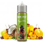 Vitastyle Reggae Relax Vape Fest S & V 10 ml – Hledejceny.cz