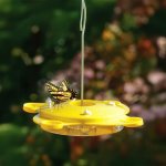 Weltbild Krmítko pro motýly 23 × v 22 cm – Hledejceny.cz