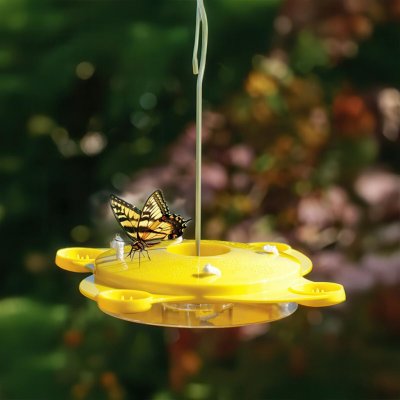 Weltbild Krmítko pro motýly 23 × v 22 cm – Hledejceny.cz