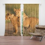 Sablio Závěs Lvíčata: 2ks 140x250cm – Hledejceny.cz