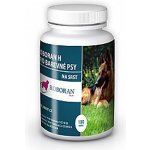 Univit Roboran H pro barevné psy 100 tbl – Zboží Dáma