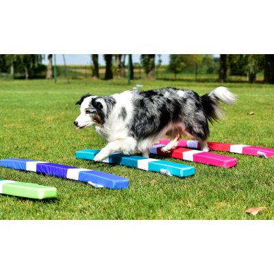Agility měkké překážky pro psa tréninková sada 3 ks – Hledejceny.cz
